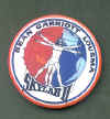 skylab2pinback.jpg (85000 bytes)